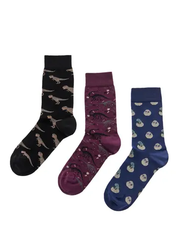 Cotton dinosaurs crew socks 3-pack giftbox