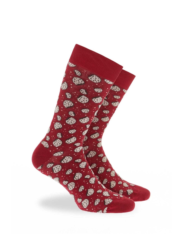 Biscuits socks 3-pack giftbox