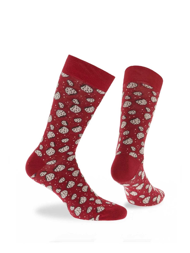Biscuits socks 3-pack giftbox