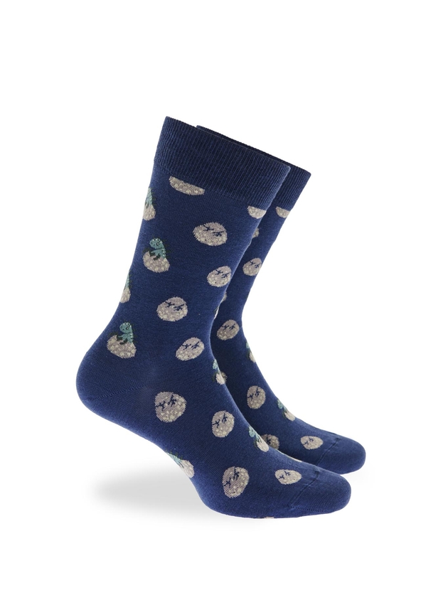 Cotton dinosaurs crew socks 3-pack giftbox