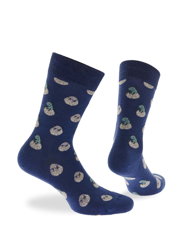 Βαμβακερές κάλτσες με σχέδιο δεινόσαυρους 3-pack giftbox