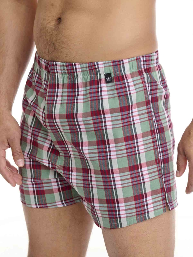 Cotton poplin boxer shorts