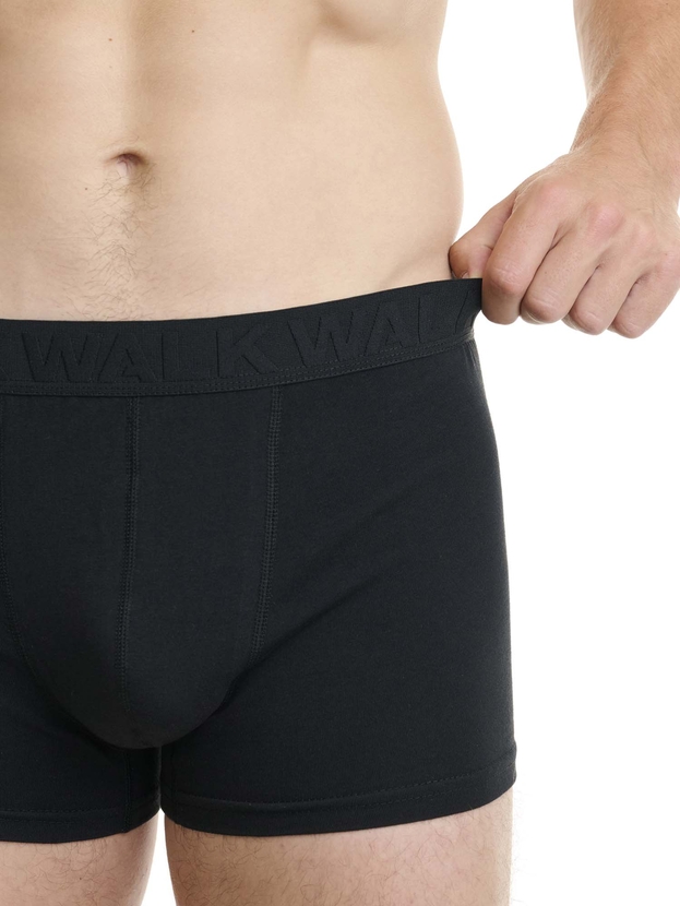 Cotton boxer with 3D logo waistband (2-pack)