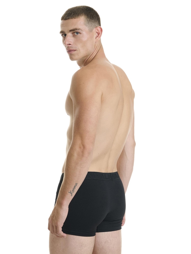 Cotton boxer with 3D logo waistband (2-pack)