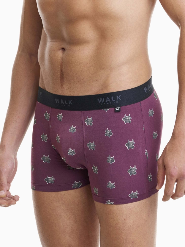 Printed bamboo boxer